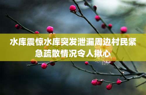 水库震惊水库突发泄漏周边村民紧急疏散情况令人揪心