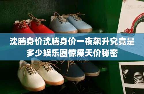 沈腾身价沈腾身价一夜飙升究竟是多少娱乐圈惊爆天价秘密