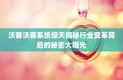 沃客沃客系统惊天揭秘行业变革背后的秘密大曝光