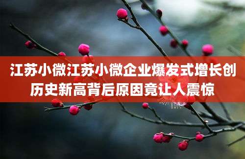 江苏小微江苏小微企业爆发式增长创历史新高背后原因竟让人震惊