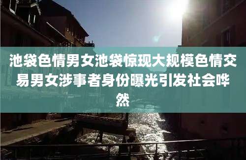 池袋色情男女池袋惊现大规模色情交易男女涉事者身份曝光引发社会哗然