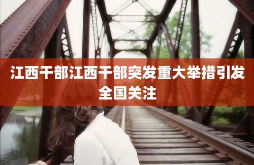 江西干部江西干部突发重大举措引发全国关注