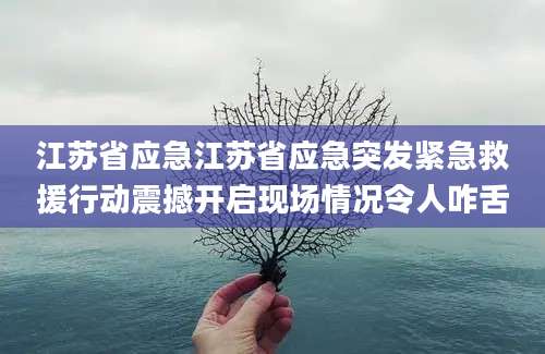 江苏省应急江苏省应急突发紧急救援行动震撼开启现场情况令人咋舌