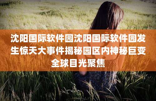 沈阳国际软件园沈阳国际软件园发生惊天大事件揭秘园区内神秘巨变全球目光聚焦