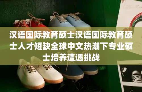 汉语国际教育硕士汉语国际教育硕士人才短缺全球中文热潮下专业硕士培养遭遇挑战