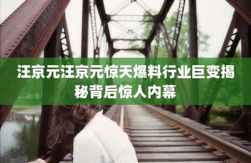 汪京元汪京元惊天爆料行业巨变揭秘背后惊人内幕