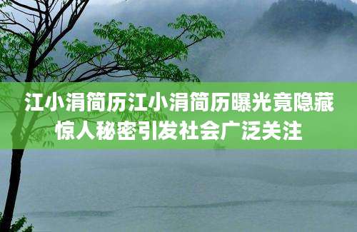 江小涓简历江小涓简历曝光竟隐藏惊人秘密引发社会广泛关注