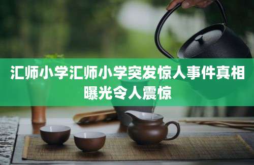 汇师小学汇师小学突发惊人事件真相曝光令人震惊