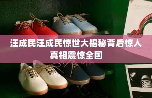 汪成民汪成民惊世大揭秘背后惊人真相震惊全国