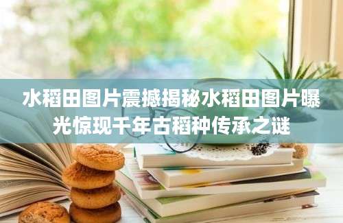 水稻田图片震撼揭秘水稻田图片曝光惊现千年古稻种传承之谜