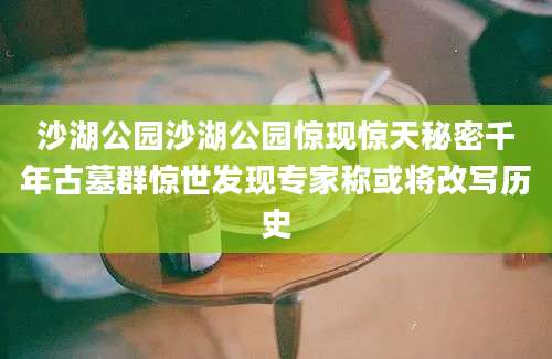 沙湖公园沙湖公园惊现惊天秘密千年古墓群惊世发现专家称或将改写历史