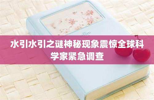 水引水引之谜神秘现象震惊全球科学家紧急调查