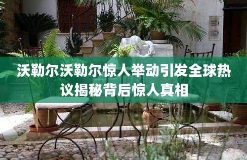 沃勒尔沃勒尔惊人举动引发全球热议揭秘背后惊人真相