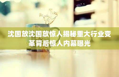 沈国放沈国放惊人揭秘重大行业变革背后惊人内幕曝光