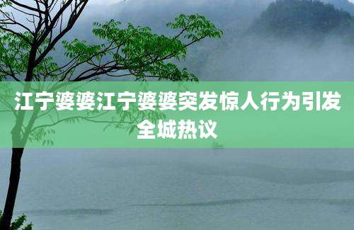 江宁婆婆江宁婆婆突发惊人行为引发全城热议