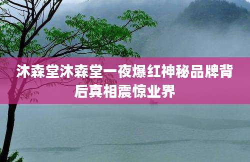 沐森堂沐森堂一夜爆红神秘品牌背后真相震惊业界