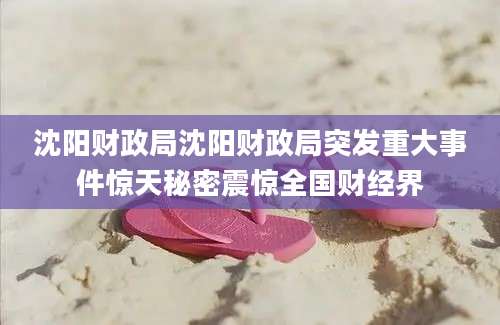 沈阳财政局沈阳财政局突发重大事件惊天秘密震惊全国财经界
