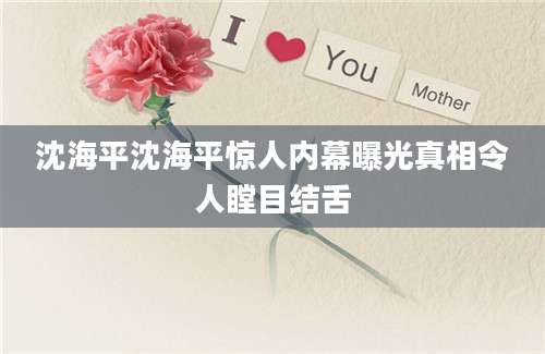 沈海平沈海平惊人内幕曝光真相令人瞠目结舌
