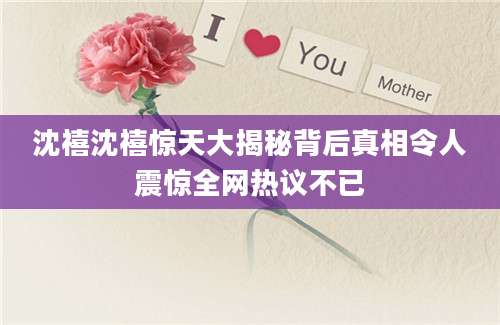 沈禧沈禧惊天大揭秘背后真相令人震惊全网热议不已