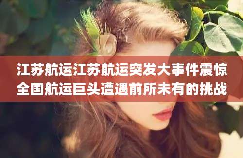 江苏航运江苏航运突发大事件震惊全国航运巨头遭遇前所未有的挑战