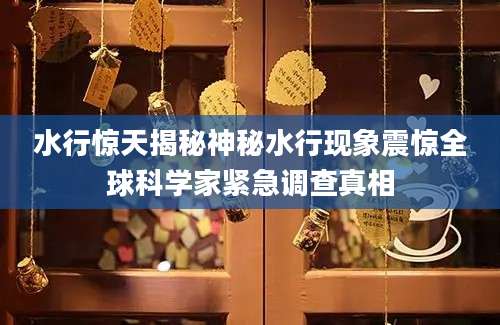 水行惊天揭秘神秘水行现象震惊全球科学家紧急调查真相