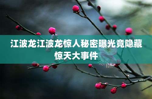 江波龙江波龙惊人秘密曝光竟隐藏惊天大事件