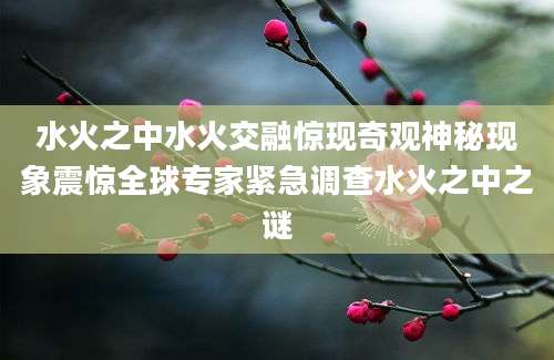 水火之中水火交融惊现奇观神秘现象震惊全球专家紧急调查水火之中之谜