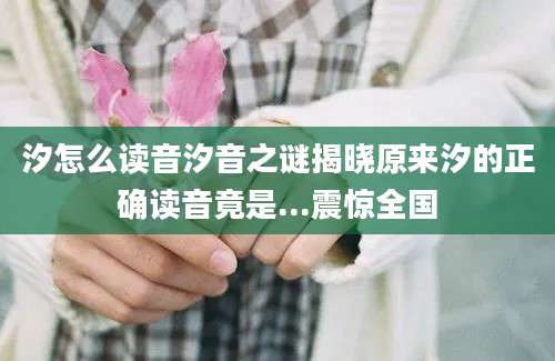 汐怎么读音汐音之谜揭晓原来汐的正确读音竟是...震惊全国
