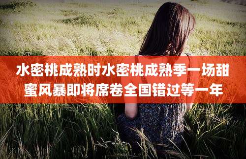 水密桃成熟时水密桃成熟季一场甜蜜风暴即将席卷全国错过等一年