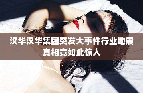 汉华汉华集团突发大事件行业地震真相竟如此惊人