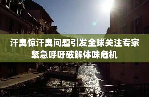 汗臭惊汗臭问题引发全球关注专家紧急呼吁破解体味危机