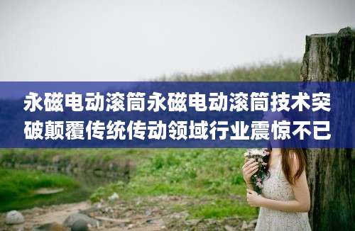 永磁电动滚筒永磁电动滚筒技术突破颠覆传统传动领域行业震惊不已