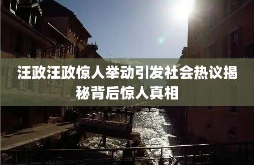 汪政汪政惊人举动引发社会热议揭秘背后惊人真相