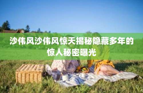 沙伟风沙伟风惊天揭秘隐藏多年的惊人秘密曝光