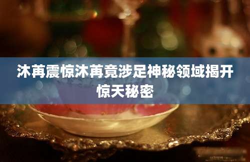 沐苒震惊沐苒竟涉足神秘领域揭开惊天秘密