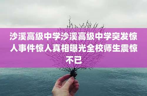 沙溪高级中学沙溪高级中学突发惊人事件惊人真相曝光全校师生震惊不已