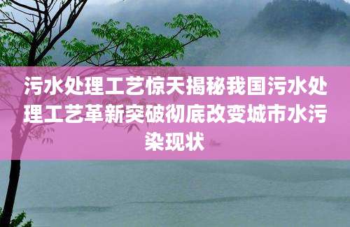 污水处理工艺惊天揭秘我国污水处理工艺革新突破彻底改变城市水污染现状