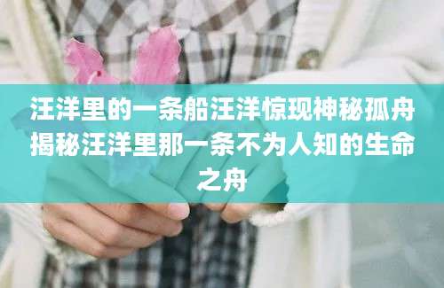 汪洋里的一条船汪洋惊现神秘孤舟揭秘汪洋里那一条不为人知的生命之舟