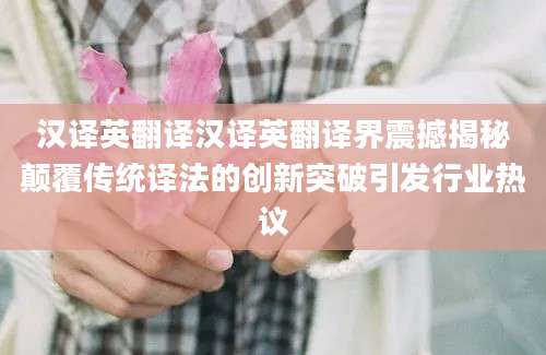 汉译英翻译汉译英翻译界震撼揭秘颠覆传统译法的创新突破引发行业热议