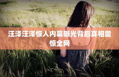 汪泽汪泽惊人内幕曝光背后真相震惊全网
