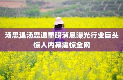 汤思退汤思退重磅消息曝光行业巨头惊人内幕震惊全网