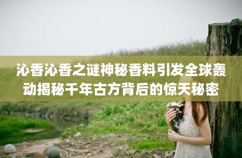 沁香沁香之谜神秘香料引发全球轰动揭秘千年古方背后的惊天秘密