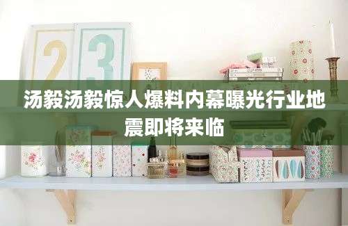 汤毅汤毅惊人爆料内幕曝光行业地震即将来临
