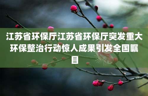 江苏省环保厅江苏省环保厅突发重大环保整治行动惊人成果引发全国瞩目