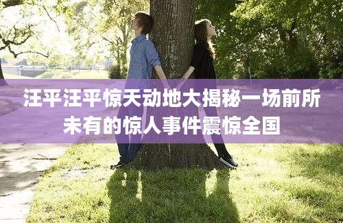 汪平汪平惊天动地大揭秘一场前所未有的惊人事件震惊全国