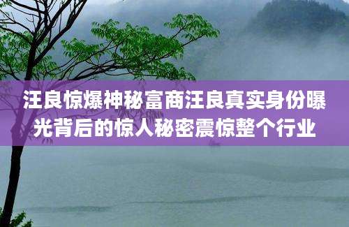 汪良惊爆神秘富商汪良真实身份曝光背后的惊人秘密震惊整个行业