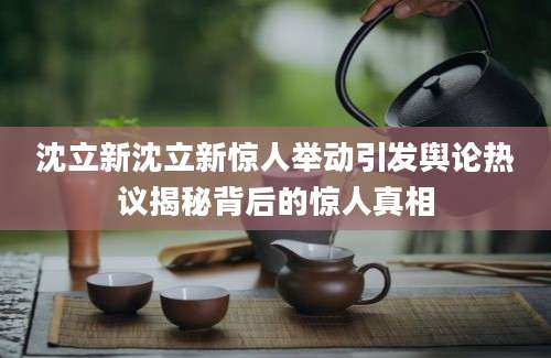 沈立新沈立新惊人举动引发舆论热议揭秘背后的惊人真相