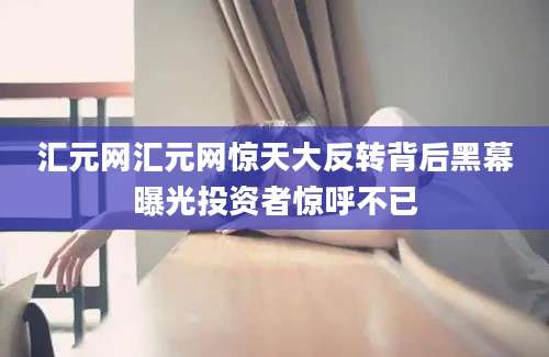 汇元网汇元网惊天大反转背后黑幕曝光投资者惊呼不已