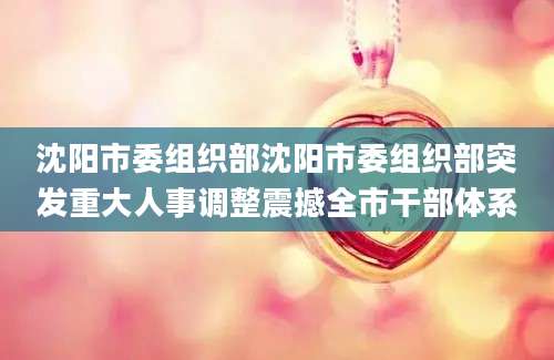 沈阳市委组织部沈阳市委组织部突发重大人事调整震撼全市干部体系