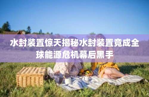 水封装置惊天揭秘水封装置竟成全球能源危机幕后黑手